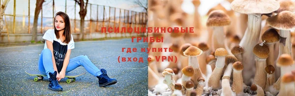 трава Белоозёрский